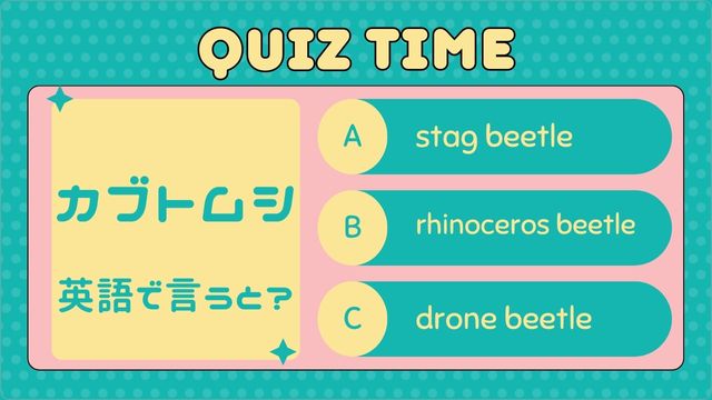 Quiz Time 4