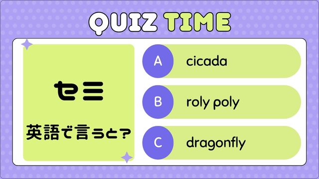 Quiz Time 5