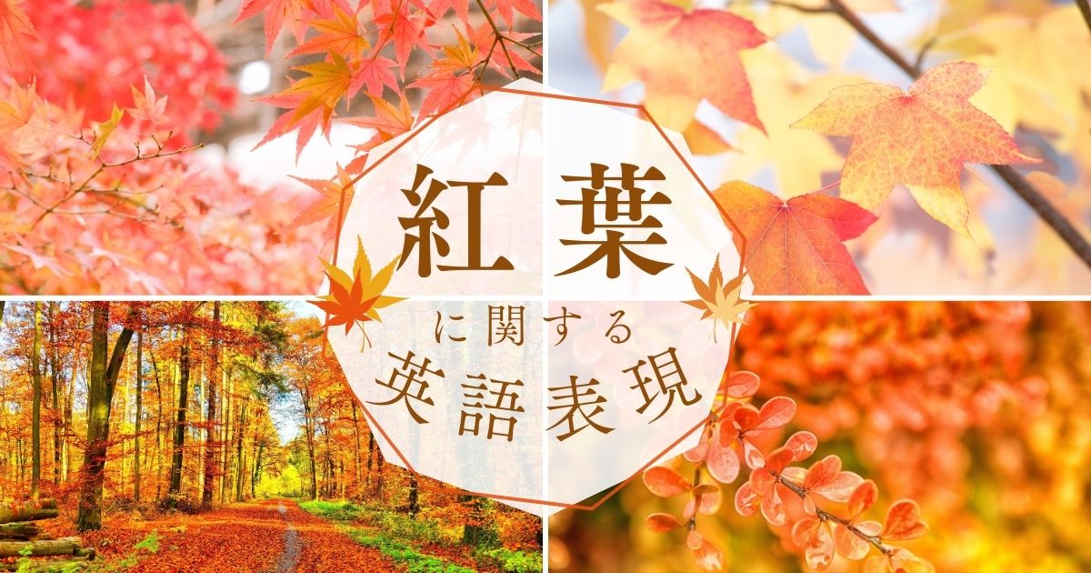 紅葉に関する英語表現