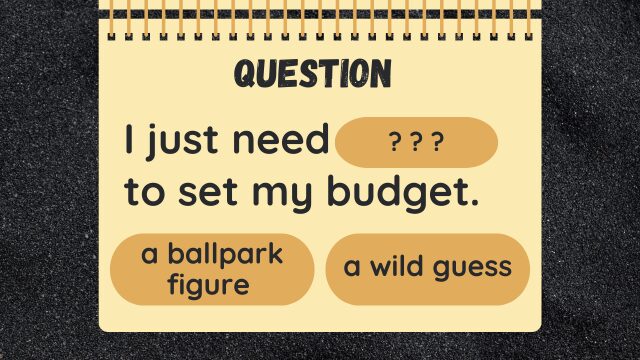 Question
I just need ? ? ? to set my budget.
a ballpark figure
a wild guess